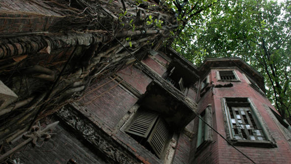 ‘ক্রিক’ কথার অর্থ খাঁড়ি। এখন খাঁড়ি শুনলেই আমাদের মনে হয় সুন্দরবনের কথা। কিন্তু খাস কলকাতার বুকে আজ থেকে প্রায় তিনশো বছর আগে সক্রিয় ছিল এক খাঁড়ি। তার জন্ম হয়েছিল গাঙ্গেয় বদ্বীপের অংশ হিসেবেই। চাঁদপাল ঘাট থেকে তার গতিপথ ছিল বিদ্যাধরী নদী। মাঝে সে ছুঁয়ে যেত যে জনপদগুলি, তাদের বর্তমান নাম হেস্টিংস স্ট্রিট (আজকের কিরণশঙ্কর রায় রোড), ওয়াটারলু স্ট্রিট, বেন্টিঙ্ক স্ট্রিট এবং প্রিন্সেপ স্ট্রিট। এরপর ধর্মতলার উত্তর দিক হয়ে সে ঢুকে পড়ত আজকের সল্টলেকে। তার পরের গন্তব্য বিদ্যাধরী নদী।(ছবি: আর্কাইভ)