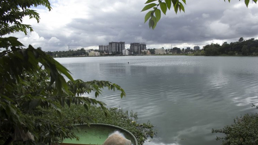 এবং সেই জলমিত্র ট্রাস্টের সদস্যদের সাহায্যে মাত্র পাঁচ বছরে ভোল বদলে যায় ওই লেকের। এর মধ্যে মহাত্মা গাঁধী ইনস্টিটিউট অব রুরাল এনার্জি অ্যান্ড ডেভেলপমেন্টের চাকরি থেকেও ইস্তফা দেন শোভা। পরিবেশ রক্ষাই এখন তাঁর জীবনের ব্রত।