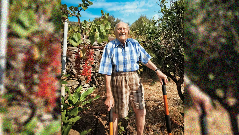 শয্যাশায়ী, মরতে বসা ক্যানসারের রোগীও এখানে এসে সুস্থ হয়ে উঠতে পারেন বিনা চিকিৎসায়। তারপর হৈ হৈ করে কাটিয়ে ফেলতে পারেন অনেক বছর! এমনই জাদু রয়েছে এই দ্বীপে। যেমনটা হয়েছিল ইকারিয়ার বাসিন্দা স্ট্যামাটিস মোরাইটিসের সঙ্গে। দীর্ঘদিন স্ট্যামাটিস ইকারিয়া ছেড়ে চলে গিয়েছিলেন। স্ত্রী-সন্তানদের সঙ্গে আমেরিকার ফ্লোরিডায় থাকতেন।