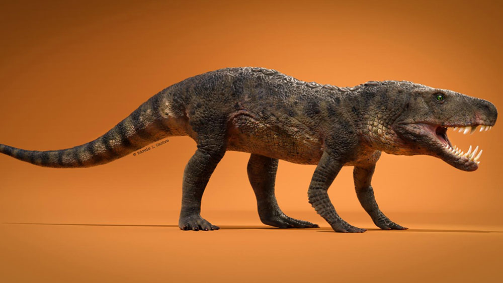 ২৩ কোটি বছর আগে রাজত্ব করত কুমিরের এই আত্মীয়। যাদের দেখে ভয়ে কাঁপত ডাইনোসরেরাও!