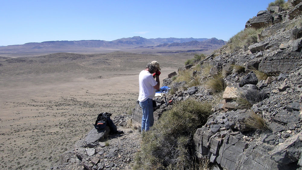সম্প্রতি এমনই প্রাণীর জীবাশ্মের খোঁজ পেলেন বিজ্ঞানীরা। দক্ষিণ ব্রাজিলের আগুডোয় মাটি খুঁড়ে এই প্রাণীর জীবাশ্ম পেয়েছেন তাঁরা। অ্যাকটা প্যালিওনটোলজিক্যাল পোলোনিকা নামে জার্নালে তা প্রকাশিত হয়েছে।