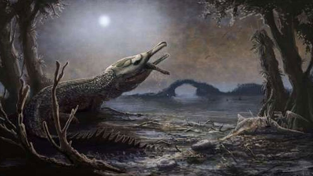 জার্নালে দাবি করা হয়েছে, এই প্রাণীর শক্ত, ধারালো দাঁত ডাইনোসরদের হাড়ও গুঁড়িয়ে ফেলার ক্ষমতা রাখত।