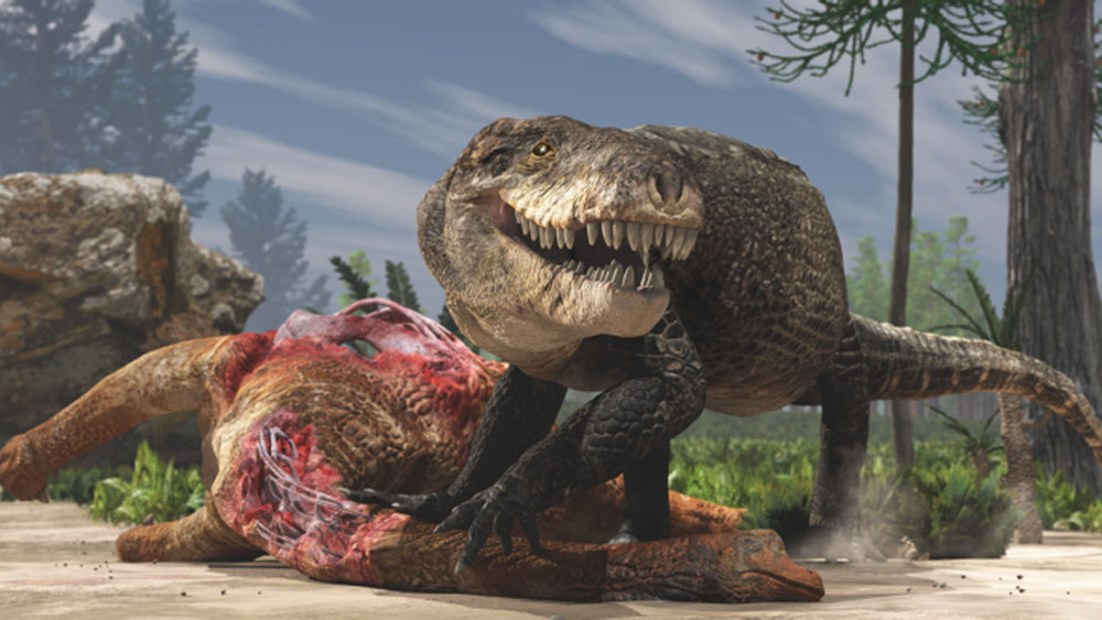 দৈর্ঘ্যে সাত ফুট পর্যন্ত লম্বা হত এরা। মুখটাও কুমিরের মতো লম্বাটে। আর সেই লম্বাটে মুখের ভিতর শক্ত চোয়ালে উঁকি দিত ব্লেডের মতো দাঁতের সারি।