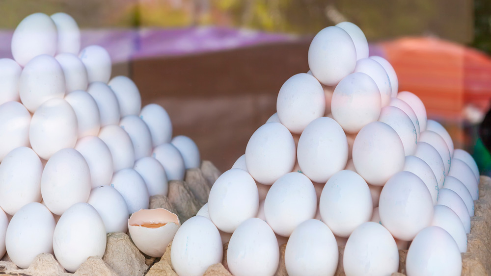 শরীরে বলিরেখাকে মনে প্রবেশ করতে দেননি বলবীর সিংহ। থাকেন অপরিসর ছোট একটি ঘরে। রোজ সকালে উঠে বাড়ির কাজকর্ম নিজেই সারেন। তারপর দুপুরবেলার গন্তব্য দরিয়াগঞ্জের বাজার। সেখান থেকে পাউরুটি, ডিম, প্রয়োজনীয় অন্য কাঁচামাল কিনে আনেন। বিকেলবেলা শুরু হয় দোকান। চলে ঘড়ির কাঁটা এগারোটা পেরিয়ে। (ছবি: শাটারস্টক)