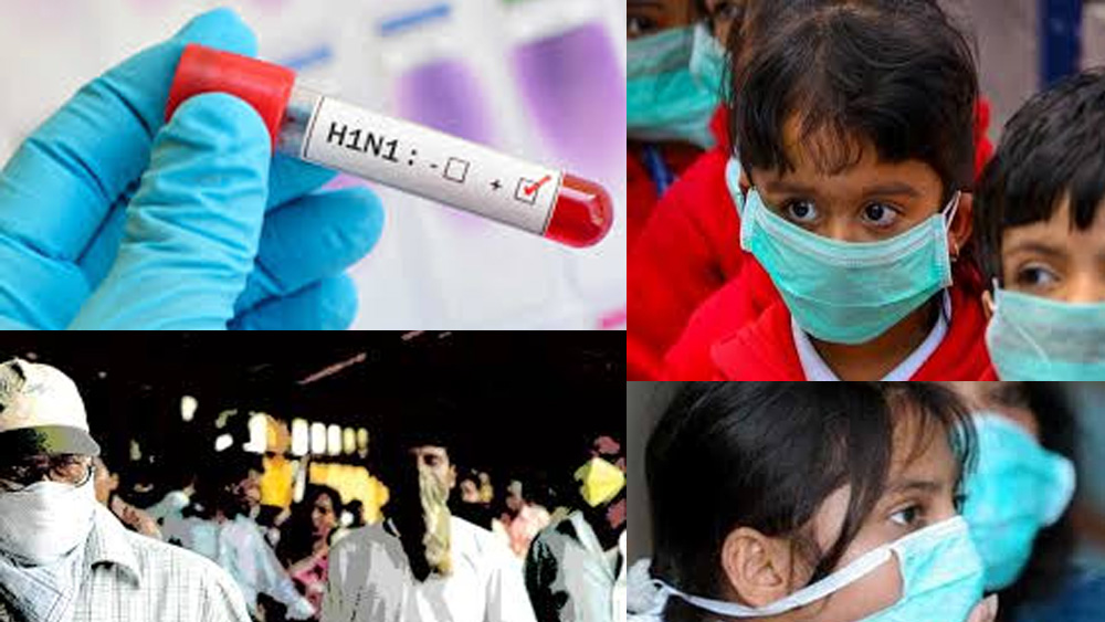 এরপরেও ২০০৯ সালে ফ্লু-এর অতিমারি দেখা দেয় দেশ জুড়ে। গত কয়েক বছরে সোয়াইন ফ্লু-সহ বিভিন্ন ধরনের ইনফ্লুয়েঞ্জায় ভারতে প্রাণ হারান প্রায় কয়েক হাজার মানুষ।  (ছবি: আর্কাইভ ও সোশ্যাল মিডিয়া)