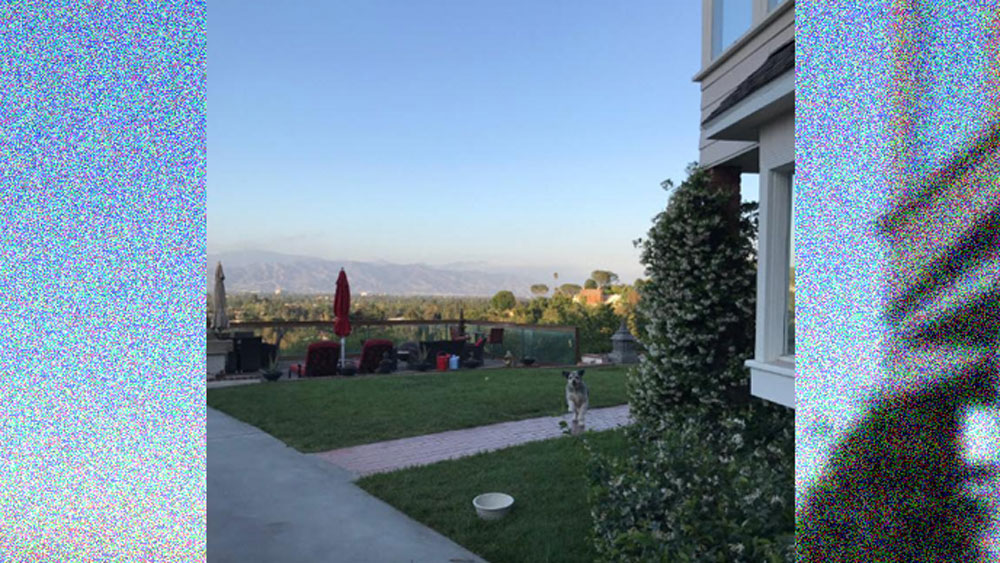 দীর্ঘদিন ধরে দেশ-বিদেশ ঘুরে একটা একটা করে পছন্দের জিনিস নিয়ে এসেছেন বাংলোতে। যেমন ইতালি, রোম, স্পেন থেকে বেছে বেছে কিনে এনেছেন ঘর সাজানোর নানা জিনিস, আসবাবপত্র।