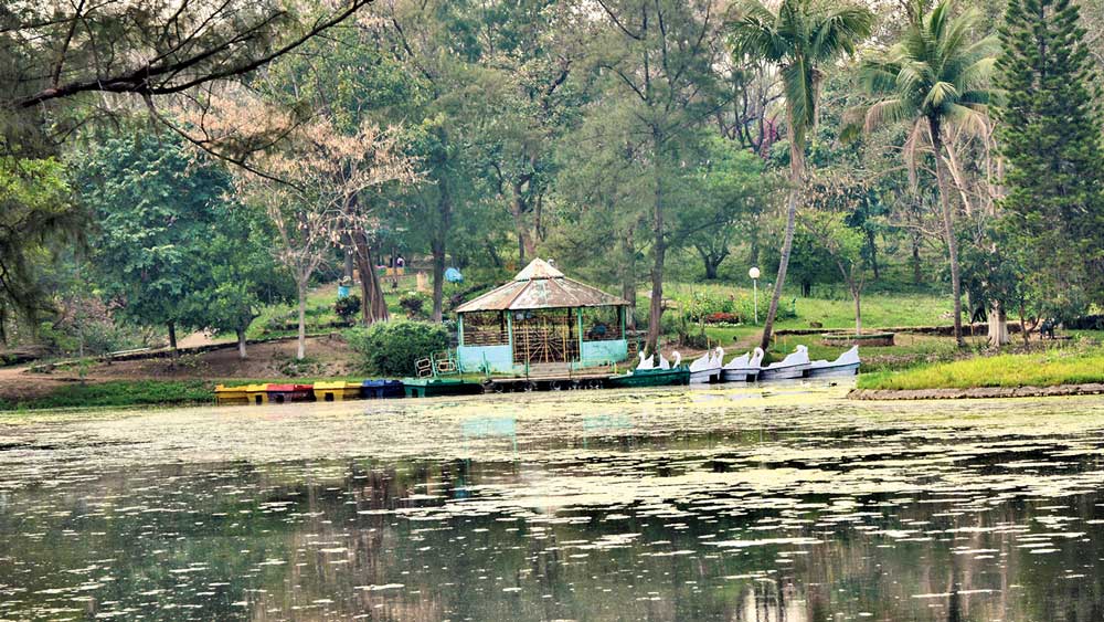  জনসাধারণের প্রবেশ নিষেধ বার্নপুরের নেহরু পার্কে। নিজস্ব চিত্র