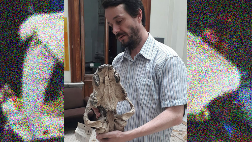 যার ভয়ে একসময়ে জড়োসড়ো হত বড় বড় মাংসাশী প্রাণীরাও। সাধারণত যে সমস্ত তৃণভোজী প্রাণীকে এখনকার বাঘ-সিংহেরাও কুপোকাত করতে পারে না, তাদেরও নিমেষে কুপোকাত করে দিত এরা।