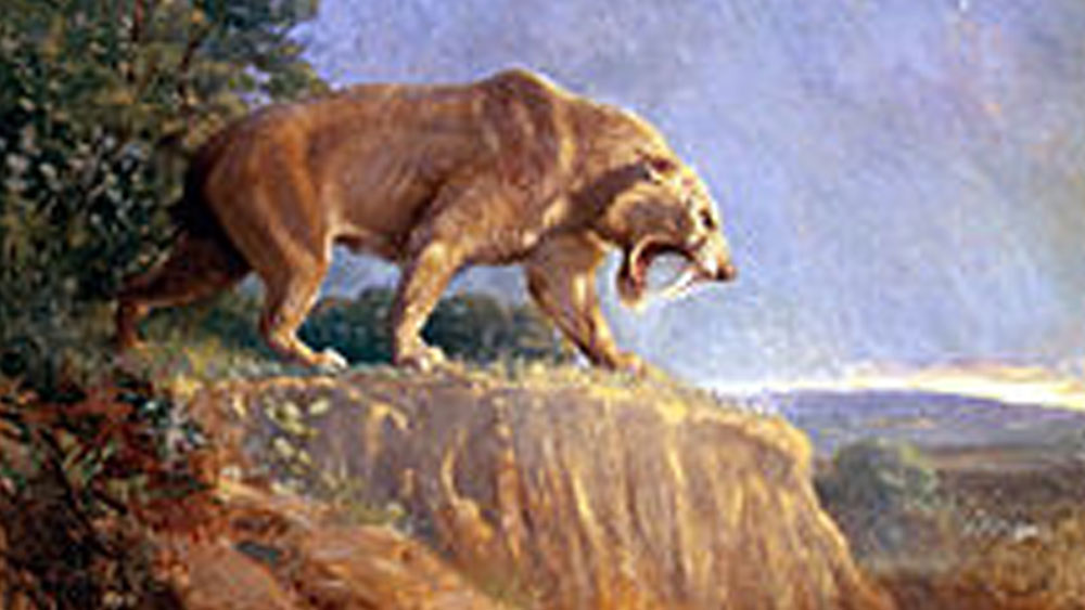 রিকার্দো প্রাদেরি নামে গবেষক ১৯৮৯ সালে সেপ্টেম্বরে দক্ষিণ উরুগুয়ে থেকে বিশালাকার ওই প্রাণীর খুলি খুঁড়ে বার করেছিলেন। সম্প্রতি সেই প্রাণীর অস্তিত্ব নিয়ে জার্নাল অ্যালকেরিঙ্গাতে একটি প্রবন্ধ প্রকাশিত হয়েছে।