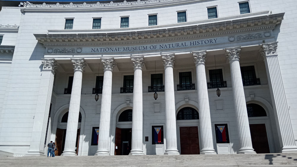 বিশালাকার এই খুলি আপাতত উরুগুয়ের মন্টেভিডিয়োর ন্যাশনাল মিউজিয়াম অব ন্যাচারাল হিস্ট্রি-তে রাখা রয়েছে।