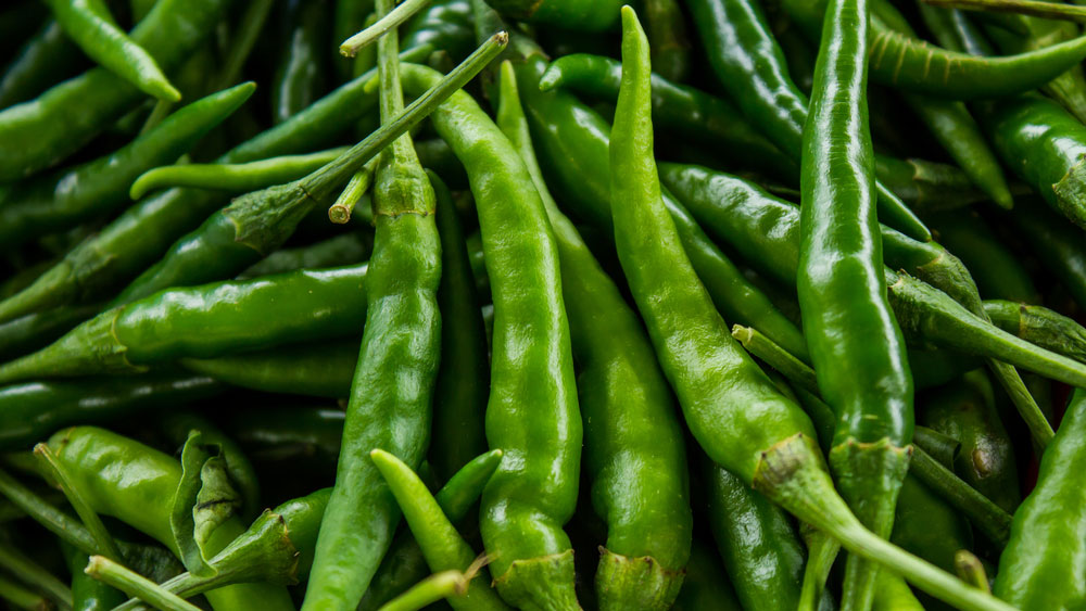 লঙ্কা ভাল রাখার অন্যতম উপায় চেন টানা ছোট ব্যাগ। এতেও রাখতে পারেন লঙ্কা। এ ক্ষেত্রেও লঙ্কার বৃন্ত ছিঁড়ে নেবেন। এই ব্যাগ ফ্রিজে রাখুন।