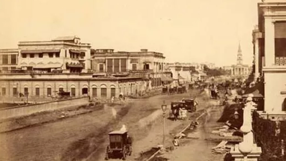 ক্রমশ মক্ষীরানি হয়ে দেখা দিল ত্রৈলোক্যতারিণী। এর মধ্যেই এক দিন মারা গেল তার প্রণয়ী। কিন্তু তখন তার কোনও অর্থকষ্ট নেই। এ ভাবেই কাটল দেড় দশক। এমন সময়ে তার জীবনে এল জনৈক কালীবাবু। পরবর্তীকালে সে-ই ছিল ত্রৈলোক্যর মূল প্রণয়ী এবং সেই সঙ্গে অপরাধের চক্রী। কিন্তু বেশি দিন সেরা সময় থাকল না। বয়স বাড়ার সঙ্গে সঙ্গে কমতে থাকে ত্রৈলোক্যতারিণীর জনপ্রিয়তা। কিন্তু জীবনের দুঃসময়েও তার পাশে ছিল কালীবাবু। এমনকি, স্ত্রীবিয়োগের পরে তার একমাত্র ছেলেকে বড় করে তোলে ত্রৈলোক্যতারিণী।