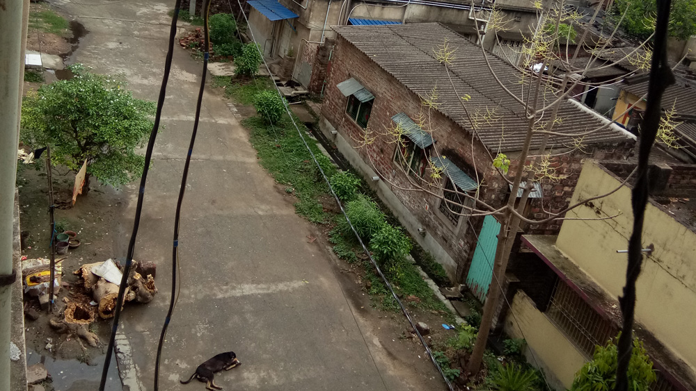 রিষড়ার বিআর অম্বেডকর সরণিতে ফাঁকা রাস্তা সাক্ষ্য দিচ্ছে সর্বাত্মক জনতা কার্ফু-এর
(ছবি: রুম্পা বিশ্বাস)