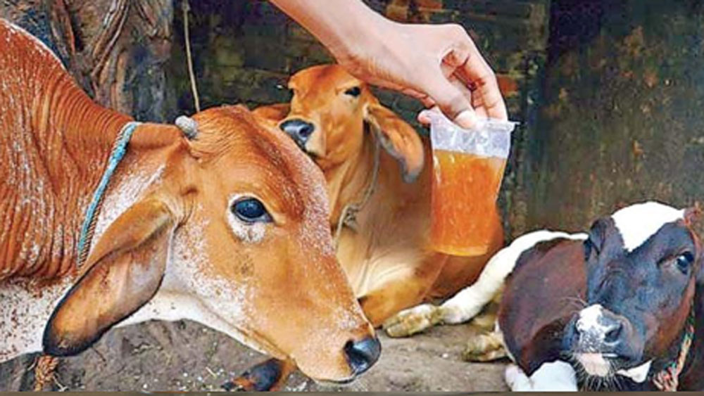 মিরাকল মিনারেল সলুউশন, গোমূত্র এগুলোর কোনওটাতেই এই ভাইরাস মোকাবিলার ক্ষমতা নেই। অথচ অনলাইনে মিরাকল মিনারেল সলুউশন বা রাস্তাঘাটে গোমূত্র কেনার হিড়িক পড়েছিল। এটা উল্টে ক্ষতিকরই।