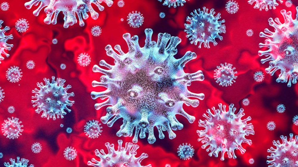 Coronavirus in India: Workers refuse to return home 