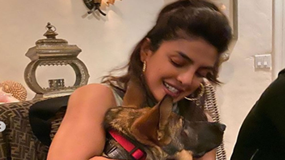 ব্যস্ত নায়িকা হলিডে মুডে। পোষ্য পুচ গিনোকে এই ক'দিন চুটিয়ে আদর করে নিচ্ছেন প্রিয়ঙ্কা। ইনস্টাগ্রামে সেই ছবি শেয়ার করে প্রিয়ঙ্কা লিখেছেন, ‘এই সময়ে বাড়িতে থাকাই সবচেয়ে নিরাপদ।’