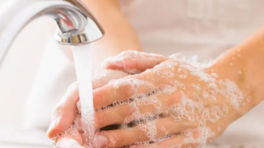 তাই গবেষকেরা জানাচ্ছেন, কাঠের কোনও বস্তুতে হাত দিলে, তার পরই যেন কোনও ভাবেই হাত মুখে বা নাকে না যায় এবং ভাল করে ২০ সেকেন্ড ধরে সাবান দিয়ে হাত ধুয়ে ফেলা জরুরি।