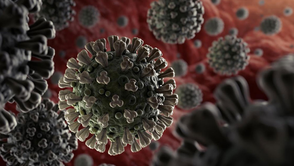 কোনও আক্রান্ত ব্যক্তির হাঁচি-কাশির মাধ্যমে যদি করোনাভাইরাসের জীবাণু ড্রপলেটের মাধ্যমে কোনও স্টিলের উপরে পড়ে, তাহলে ৪৮ ঘণ্টা পরও তা থেকে সংক্রমণ ছড়াতে পারে।