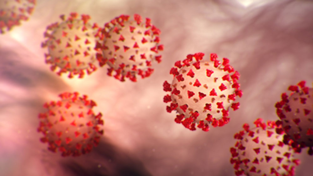 তবে শুধু কোভিড ১৯-ই নয়, এর আগেও নানা সময়ে নানা রোগের প্রকোপে কেঁপে উঠেছে বিশ্ব। বার বারই পৃথিবার বুকে ফিরে ফিরে এসেছে মহামারি-অতিমারির ‘অভিশাপ’।