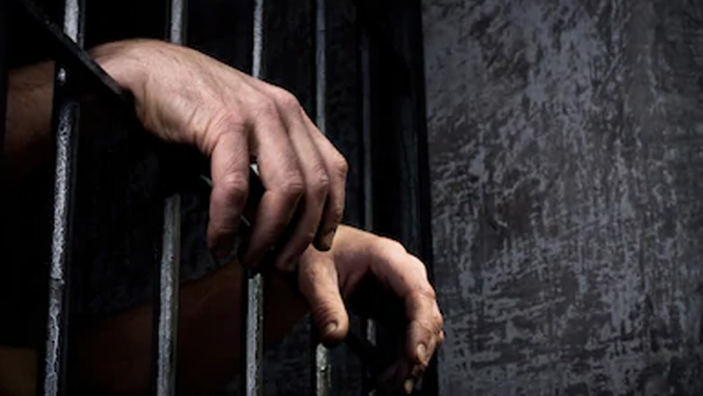 ডাকাতির সঙ্গে সম্পর্কিত সাতটি হত্যাকাণ্ডে জয়ানন্দনের বিরুদ্ধে প্রমাণ পাওয়া গিয়েছিল। বাকি অপরাধে তার বিরুদ্ধে ডাকাতির অভিযোগ ছিল।