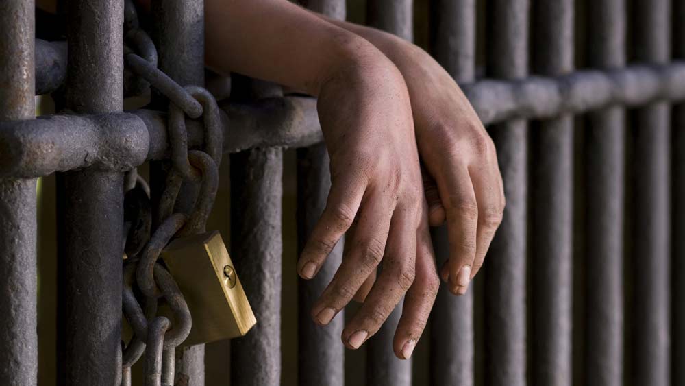 এ বারও তার ঠাঁই হয় কারাগারে। কিন্তু এ বারও পালায় সে। এক থানা থেকে অন্য থানায় জেরার জন্য নিয়ে যাওয়ার সময়। এক দিকে তার নামে জারি হয় লুক আউট নোটিস। অন্য দিকে সে পেন্যা শহরে একের পর এক ধর্ষণ করে যায়।