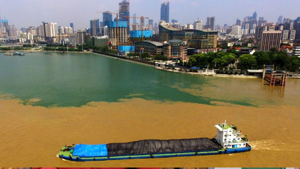 উহানের উচ্যাং, হাংকুয়ো এবং হ্যাংইয়াং এই তিন অঞ্চলেই ছড়িয়ে রয়েছে এই জনসংখ্যা।