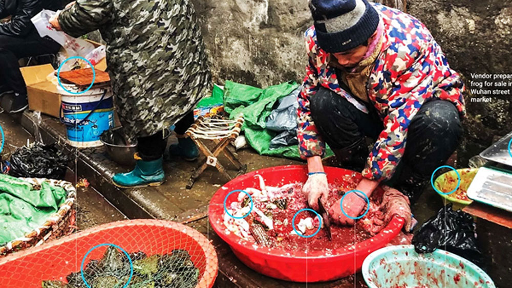 এই ভাবে উহান থেকে শুধু চিনেই নয়, সারা বিশ্বে ছড়িয়ে পড়ে এই সংক্রমণ অতিমারির আকার নিয়ে নিয়েছে।