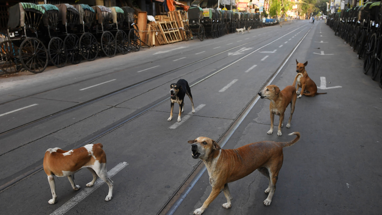 হাজার হাজার মানুষের ভিড়ে কোলাহল তৈরি হত বউবাজারে। এত দিনের চেনা অভ্যাস সে যেন এ বার বদলে ফেলেছে।