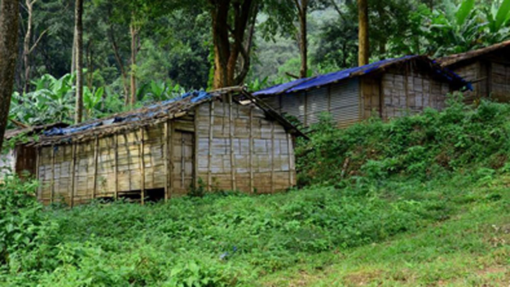 কেরলের আট্টাপাদির এক আদিবাসী গ্রামের বাসিন্দা তিনি। বাবা-মা, ভাই-বোন মিলিয়ে বড় সংসার। কিন্তু পরিবারের রোজগেরে বলতে ওই বাবা-মাই।