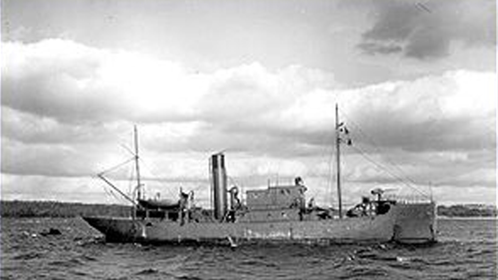 বিজলিকে শেষ বারের মতো দেখা গিয়েছিল ম্যাংগ্রলের কাছে। অনেকে বলেছিলেন, মাধবপুরের কাছও নাকি তাকে দেখা গিয়েছিল এক বার। কিন্তু পরের দিন সকালেই ‘বিজলি’-র সঙ্গে যাবতীয় যোগাযোগ ছিন্ন হয়ে যায়। আর কেউ দেখতে পায়নিএই জাহাজ। মাঝ সমুদ্রেই হারিয়ে যায় সে। মারা যায় প্রায় হাজারেরও বেশি মানুষ। —প্রতীকী ছবি।