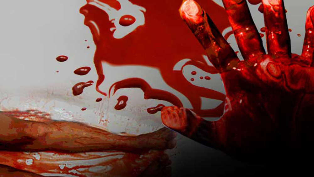 শঙ্করিয়া সম্বন্ধে খুব বেশি তথ্য জানা যায় না। তার জন্ম হয়েছিল রাজস্থানের জয়পুরে, ১৯৫২ সালের ১ জানুয়ারি।