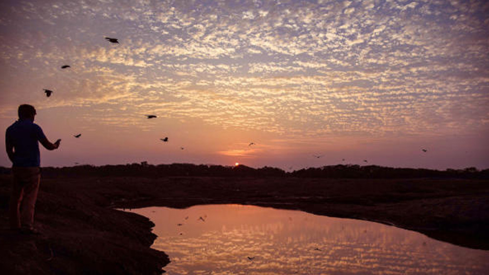 এই যুদ্ধকালীন পরিস্থিতিতেও নতুন দিনের অপেক্ষায় থাকে মানুষ। নবি মুম্বইয়ের ভাসি অঞ্চলে সমুদ্রের খাঁড়ির পাশে সূর্যাস্তের সাক্ষী এক যুবক। অস্তগামী সূর্যের পাশাপাশি তার সঙ্গী বাসায় ফেরা পাখির দল। দূষণের মাত্রা কমে যাওয়ায় ছেঁড়া মেঘের গায়ে সূর্যের রং যেন রূপকথার ছবি।