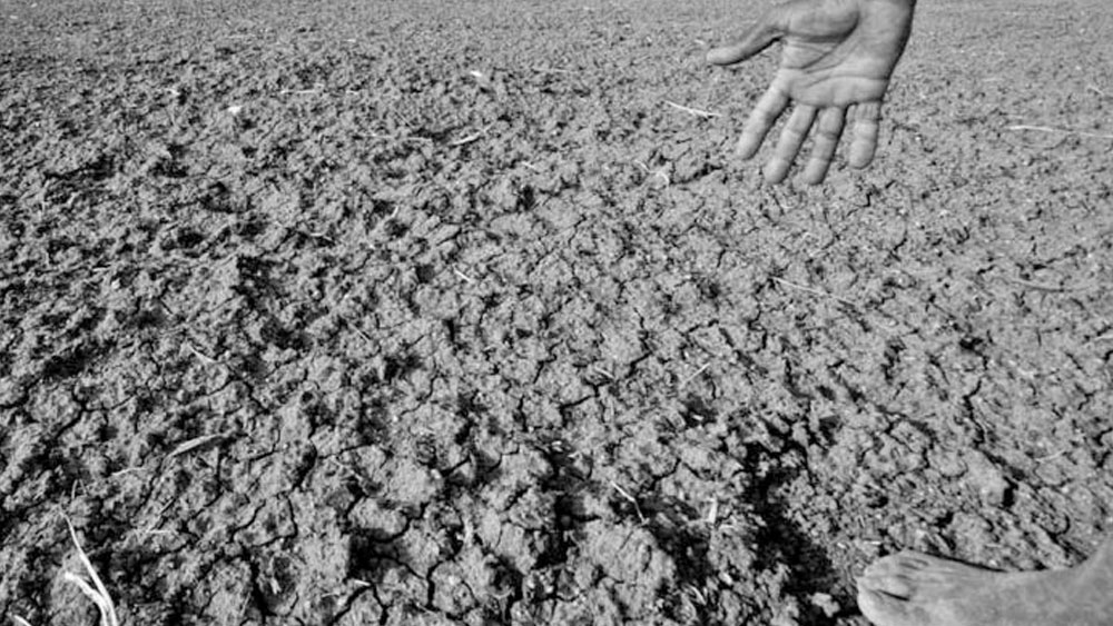 এই সময়েও এগিয়ে এসেছিলেন অক্ষয় কুমার। ওই সমস্ত পরিবারকে সাহায্য করার জন্য ৯০ লক্ষ টাকা দান করেছিলেন তিনি।