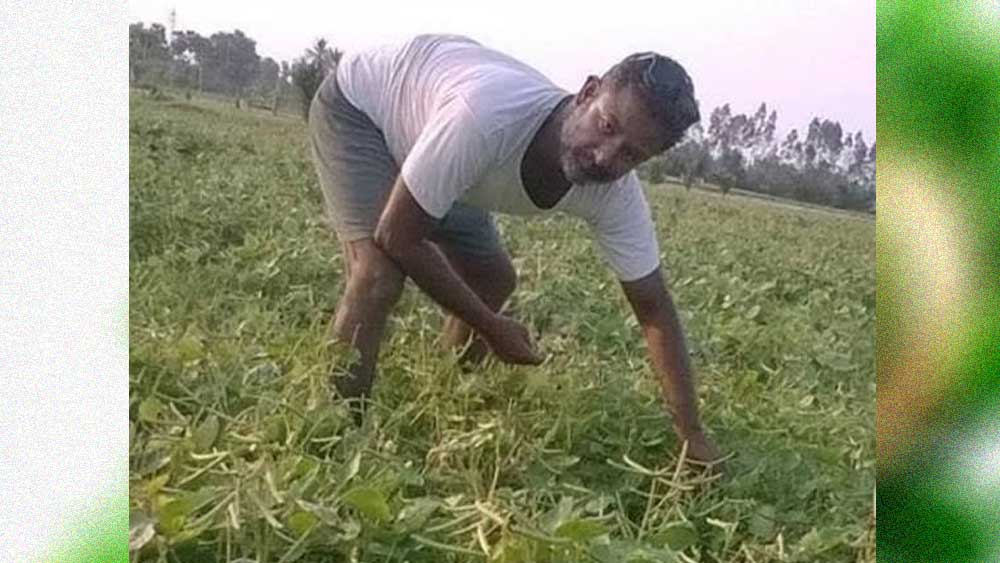 ২০১৫ সালে মায়ের যত্ন নেওয়ার জন্য তিনি অন্ধ্রপ্রদেশে নিজের বাড়িতে ফিরে আসেন। মরিঙ্গা পাতার উপর রিসার্চ শুরু করেন।