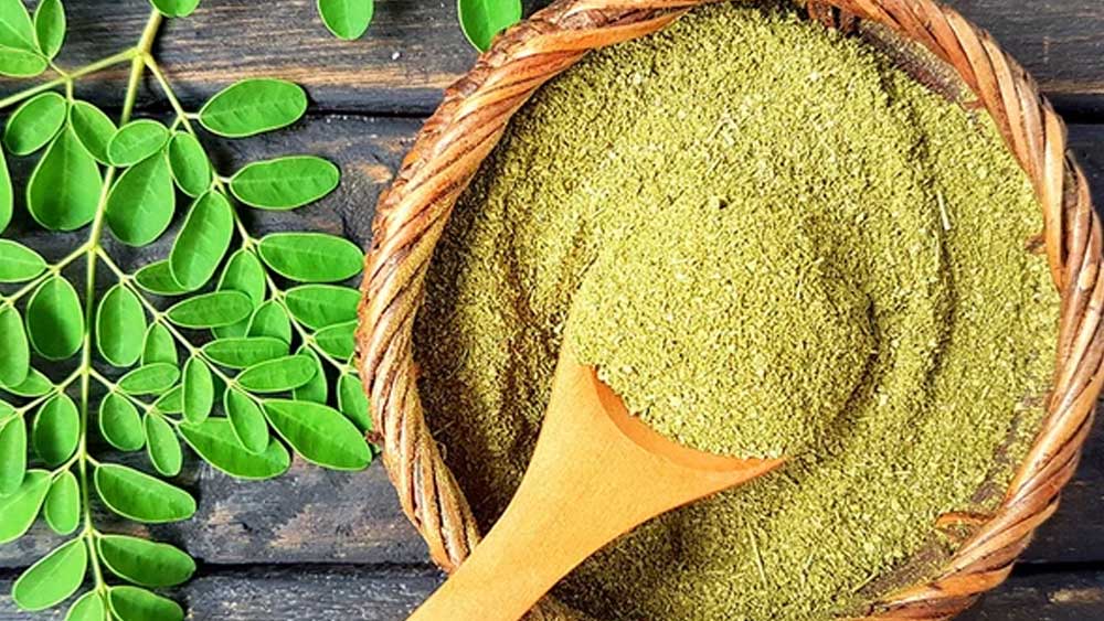 মরিঙ্গার সঙ্গে আরও কিছু হার্বস দিয়ে মরিঙ্গার পাউডার বানান তিনি। সেগুলো স্থানীয়দের মধ্যে দিতে শুরু করেন।