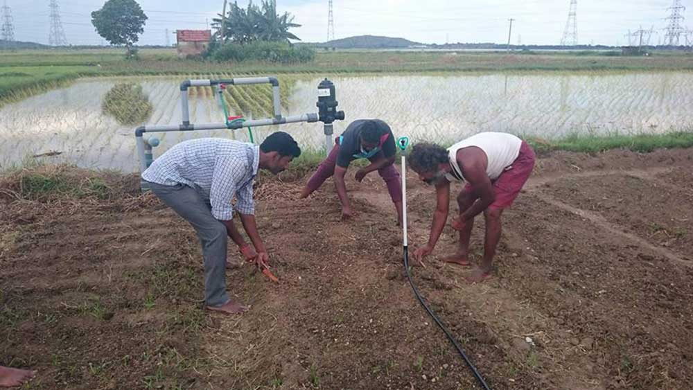 আশ্চর্যজনক ভাবে খুব ভাল কাজ দেয় সেগুলি। তখনই একটা বিষয় নাড়া দেয় তাঁর মনে। ওষুধ তো তৈরি হয় এই সমস্ত গুল্ম থেকেই। তা হলে অহেতুক ওষুধের উপর নির্ভরশীল না হয়ে দৈনন্দিন খাদ্যাভাসে জোর দিলেই তো অসুখ এড়ানো যায়!