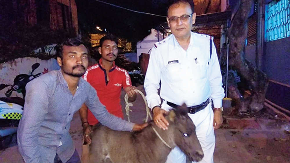 উদ্ধার: নমিতার সঙ্গে তার মালিক গোপী মল্লিক (মাঝে) এবং পুলিশ অফিসার অমিত রায়চৌধুরী। নিজস্ব চিত্র