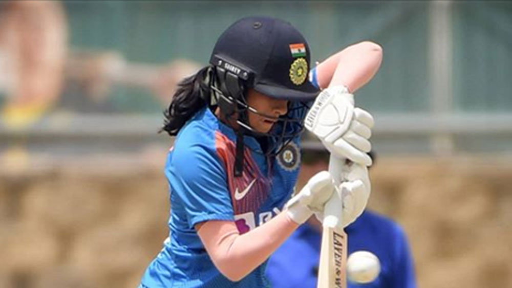 ক্রিকেটে জেমাইমার উত্থান কী ভাবে? তাঁর দুই দাদা এলি ও এলক। তারা ক্রিকেট কোচিং সেন্টারে অনুশীলন করতেন ভারতীয় ক্রিকেটার পৃথ্বী শ-র সঙ্গে। দুই দাদার সঙ্গেই জেমাইমা বাড়িতে ক্রিকেট খেলতেন।