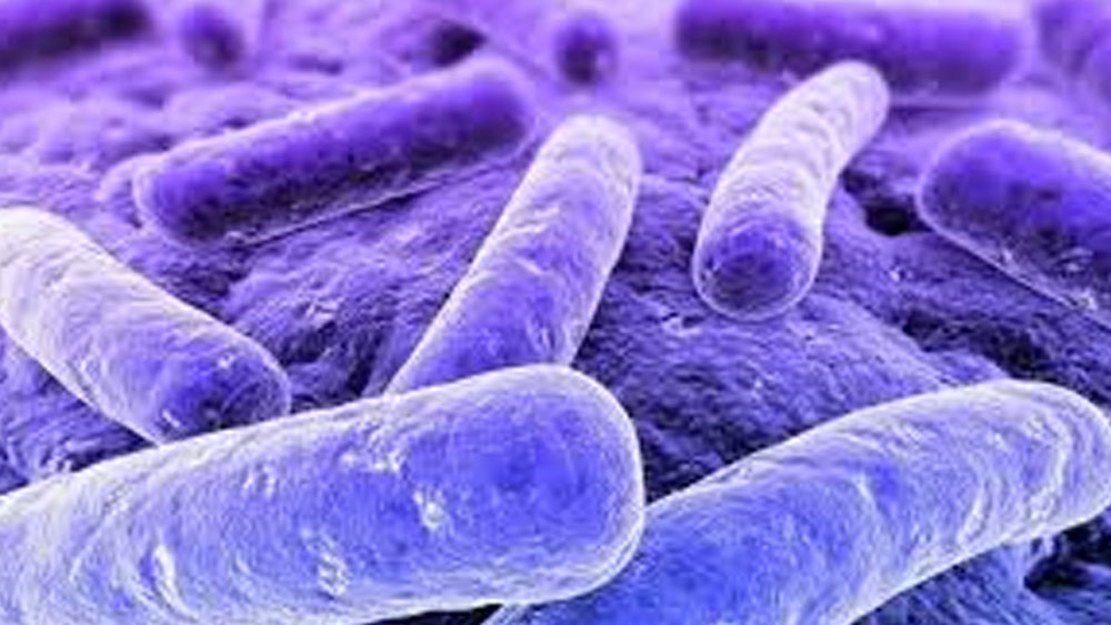 ২০১৬ সালে সাইবেরিয়ার এক ১২ বছরের শিশু অ্যান্থ্রাক্সে আক্রান্ত হয়ে মৃত্যু হয়। গবেষণায় বিজ্ঞানীরা জানতে পেরেছিলেন, বহু বছর আগে ওই এলাকায় অ্যান্থ্রাক্সের কবলে প্রচুর রেনডিয়ারের মৃত্যু হয়েছিল। সেই দেহগুলো বরফের নীচে চাপা পড়েছিল।