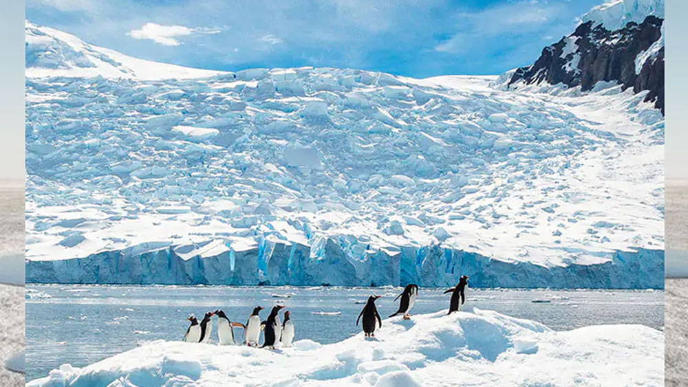 এর দু’বছর পর ২০০৭ সালে আন্টার্কটিকার বরফে চাপা পড়ে থাকা ৮০ লক্ষ বছর পুরনো এক ব্যাক্টিরিয়ার সন্ধানও পেয়েছেন।