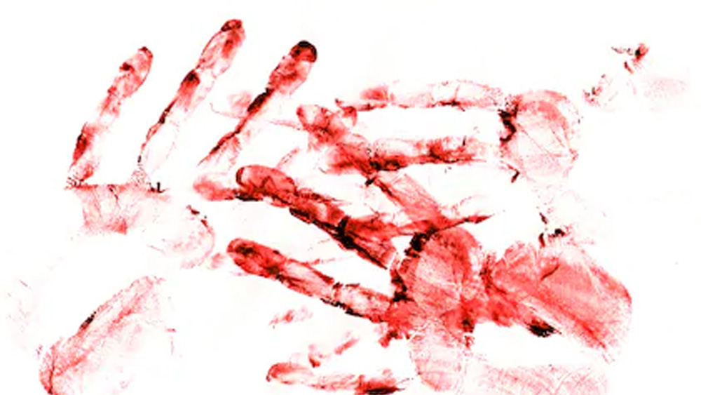 ১৯৬৫-’৬৬ সাল নাগাদ পূর্ব মুম্বইয়ের শহরতলিতে সিরিয়াল কিলিংয়ের ঘটনায় চাঞ্চল্য দেখা দেয়। অজ্ঞাতপরিচয় আততায়ীর হাতে আহত হন অন্তত ১৯ জন। তাঁদের মধ্যে মারা যান ৯ জন। সে সময় ওই এলাকায় উদ্দেশ্যহীন ভাবে ঘুরতে দেখা গিয়েছিল এক ব্যক্তিকে। সন্দেহভাজনকে আটকের পর জানা যায় তার নাম রামন রাঘব এবং পুলিশের খাতায় তার নাম আগেও আছে।