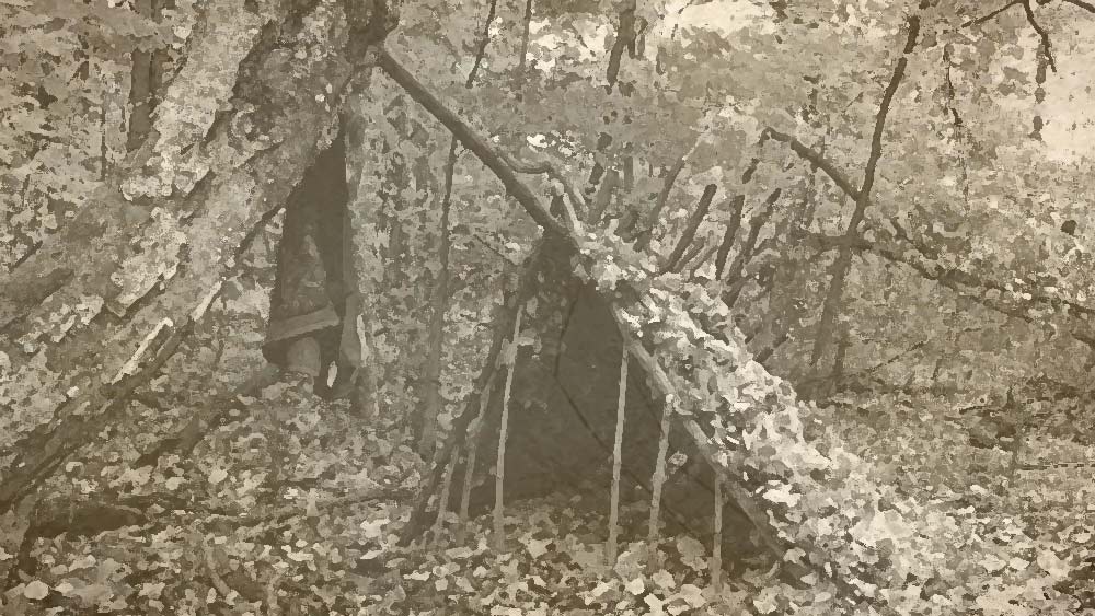 ভাগীরথীর সেই আঘাটায় ডিঙি থামালেন চৌরঙ্গীনাথ। হরিণশাবককে অনুসরণ করে ঢুকে পড়লেন গভীর বনে। এই শাবকও কিন্তু তাঁর কাছছাড়া হল না। সাধকের বিশ্বাস হল, এই হরিণ আসলে ঈশ্বরের প্রতিরূপ। ঈশ্বরই হরিণের রূপ ধরে তাঁকে সংসারের মোহমুক্ত করলেন।