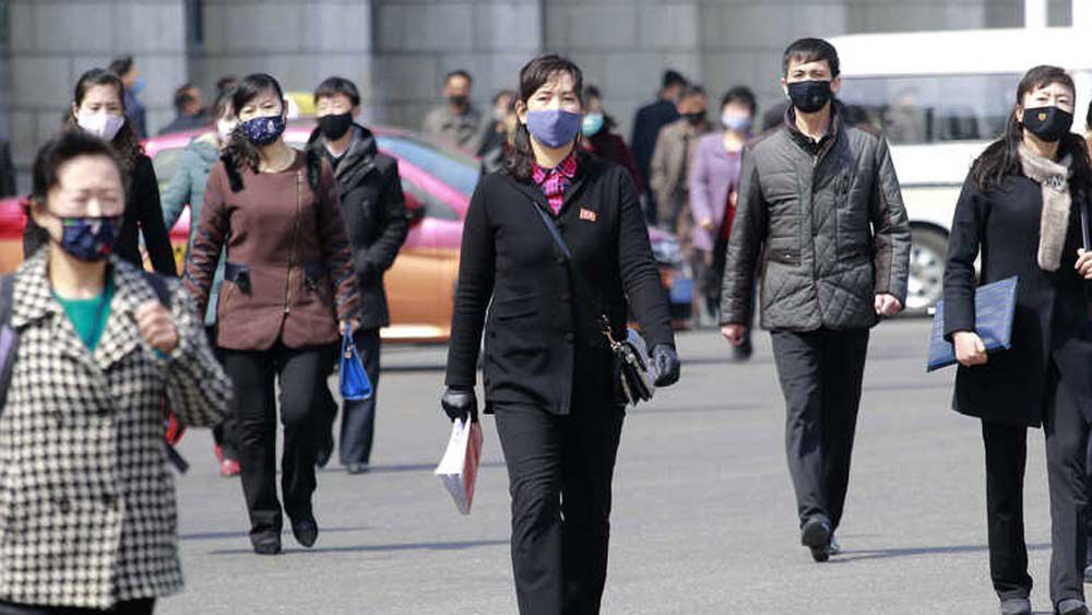 এই করোনার সংক্রমণহীন দেশের মধ্যে সবচেয়ে বড় দেশ উত্তর কোরিয়া। বাকি দেশগুলির অধিকাংশই আয়তন ও জনসংখ্যার দিক দিয়ে ছোট। ফলে ছোট দেশ বলে অনেকেই গুরুত্ব দিতেন না যে সব দেশকে, তারাই এখন সবচেয়ে নিরাপদ।