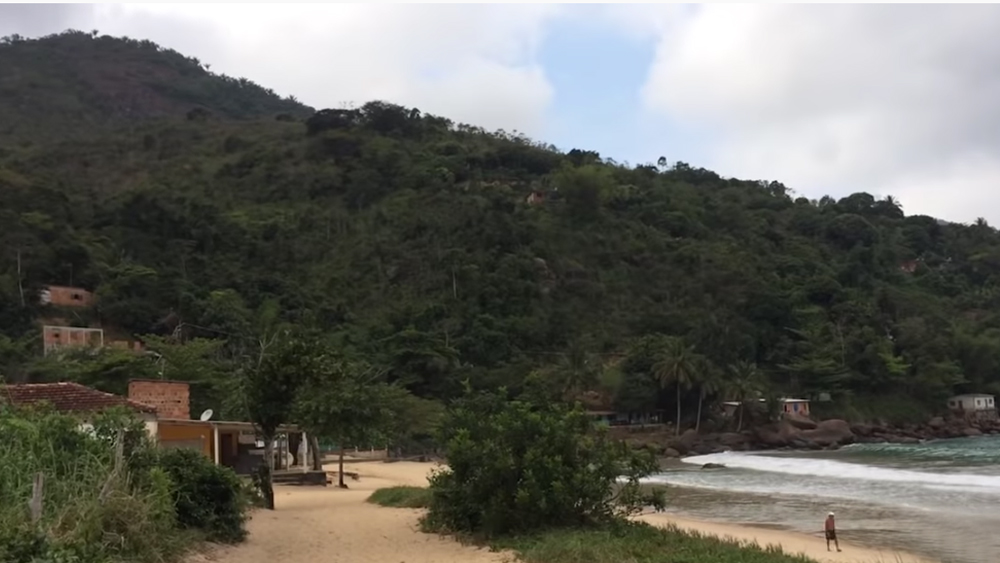 সে ভাবেই অতলান্তিক মহাসাগরে মাছ ধরতে গিয়েছিলেন ২০১১ সালের এক দিন। সৈকত থেকে উদ্ধার করেন একটি ছোট্ট পেঙ্গুইনকে। তার সারা দেহে ছিল তেলের ঘন প্রলেপ। খিদেয় ক্লান্ত প্রাণীটি হারিয়েছিল চলার শক্তি।