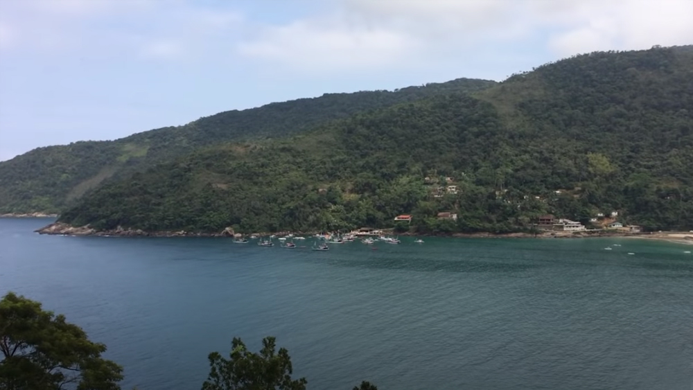 তার মধ্যে অনেক বার চেষ্টা করলেন ডিনডিমকে আবার অতলান্তিক মহাসাগরে ফিরিয়ে দেওয়ার। যত বার তাকে জলের কাছে নিয়ে যান, সে আবার গুটিগুটি পায়ে ফিরে আসে।