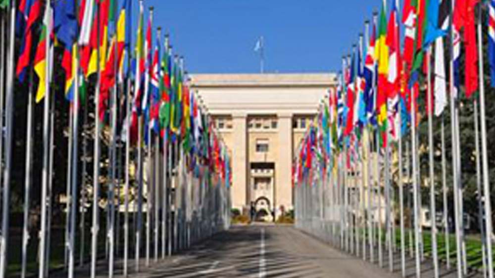 কোনও দেশের আর্থিক অবস্থা এবং জনসংখ্যার নিরিখে এই সদস্যপদের মূল্য ধার্য করে হু। মোট আর্থিক অনুদানের ১৭ শতাংশই হু পায় এই সদস্যপদমূল্য থেকে।      (ছবি: আর্কাইভ, সোশ্যাল মিডিয়া)