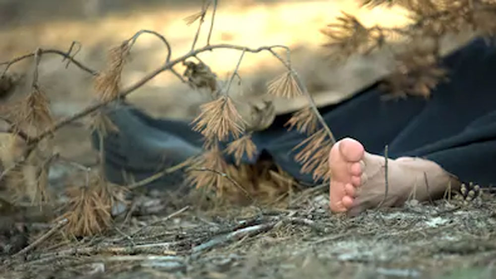 সেই সব মৃতদেহকে নাকি জৈব সার হিসাবে ব্যবহার করেন নিরাপত্তারক্ষীরা। সেই সব মৃতদেহের উপর সব্জি ফলিয়ে সেই সমস্ত শাক-সব্জি নাকি পরিবারের সঙ্গে আয়েস করে খান নিরাপত্তারক্ষীরা। কেমন ছিল সেই অত্যাচার? পালিয়ে আসা বন্দির থেকে জানা গিয়েছে সে কাহিনিও।