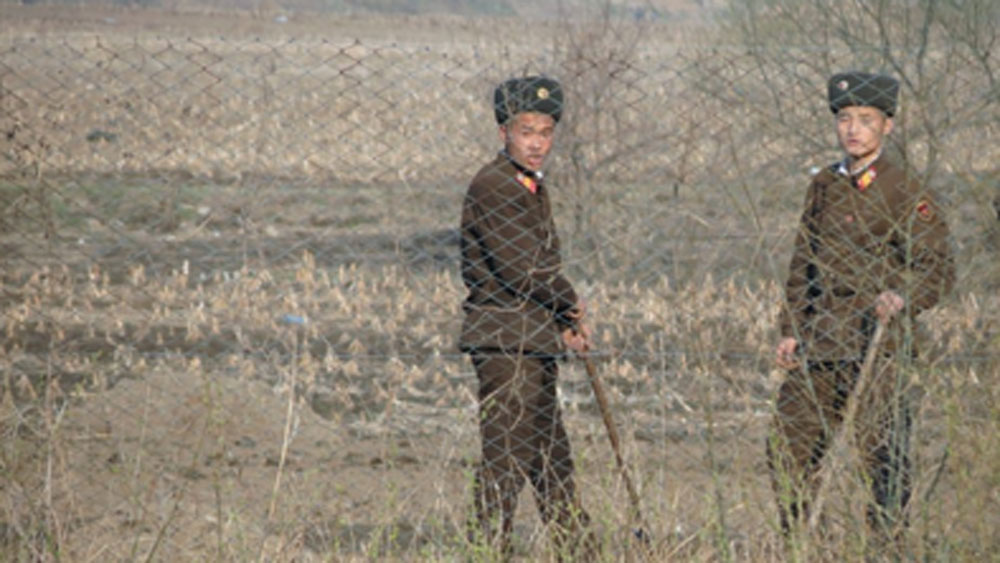 সেই বন্দির দাবি অনুযায়ী, ভোর সাড়ে পাঁচটা থেকে মধ্যরাত পর্যন্ত টানা কাজ করে যেতে হয় বন্দিদের। কয়লা খনি, বস্ত্র কারখানা, রাবার কারখানা, জুতো কারখানা, সিমেন্ট কারখানা বা চাষাবাদে লাগানো হয় এই সমস্ত বন্দিদের। এমনকি বাচ্চাদেরও একইভাবে কাজে লাগানো হয়।