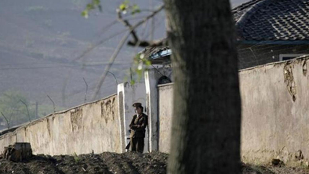 কাজে সামান্য কিছু ভুলচুক হলেই বন্দিদের মারধর শুরু করে ক্যাম্পের নিরাপত্তারক্ষীরা। দিনভর এত খাটনির পরও ভাল কোনও খাবার জোটে না তাঁদের।