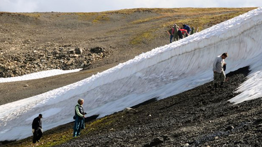 সেই জায়গাতেই বহু প্রাচীন ঘোড়ার মল দেখতে পান তাঁরা। গবেষণায় জানতে পারেন, ঘোড়ার ওই মল অন্তত এক হাজার বছরের পুরনো। এই এলাকায় এত পুরনো ঘোড়ার মল দেখে কিছুটা আশ্চর্য হয়েছিলেন তাঁরা।